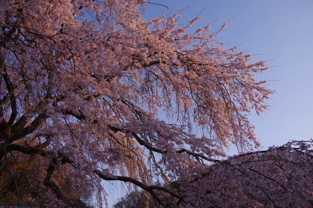 f:id:tsukifune77:20210401173555j:plain