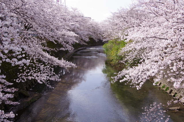 f:id:tsukifune77:20210401174630j:plain