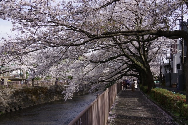 f:id:tsukifune77:20210401174729j:plain