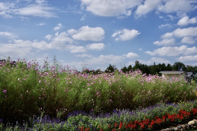 f:id:tsukifune77:20210923090523j:plain