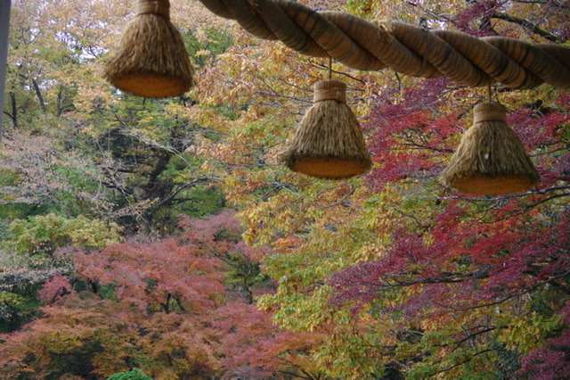 f:id:tsukifune77:20211119080218j:plain