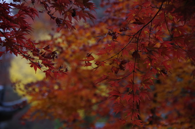 f:id:tsukifune77:20211119080523j:plain