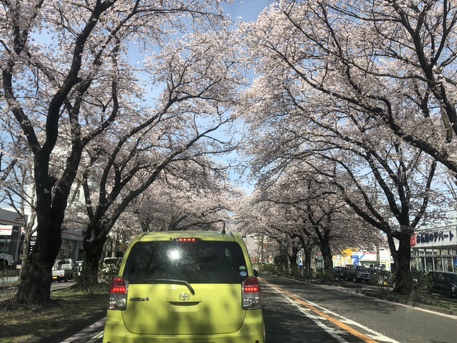 f:id:tsukifune77:20220402085519j:plain