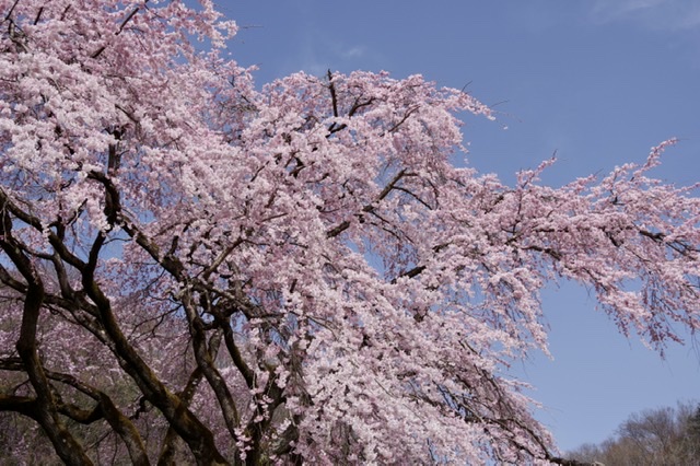 f:id:tsukifune77:20220404093944j:plain