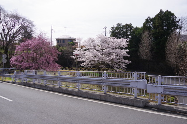 f:id:tsukifune77:20220404094151j:plain