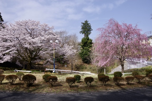f:id:tsukifune77:20220404094309j:plain