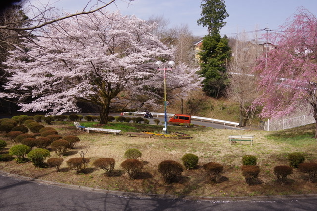 f:id:tsukifune77:20220404094349j:plain