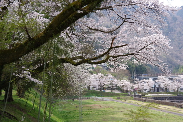 f:id:tsukifune77:20220404094437j:plain