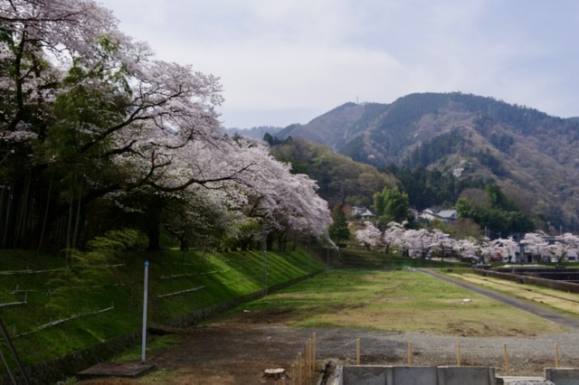f:id:tsukifune77:20220404094505j:plain