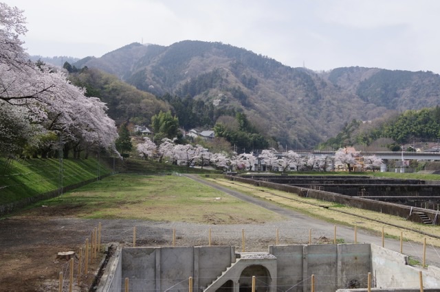 f:id:tsukifune77:20220404094519j:plain