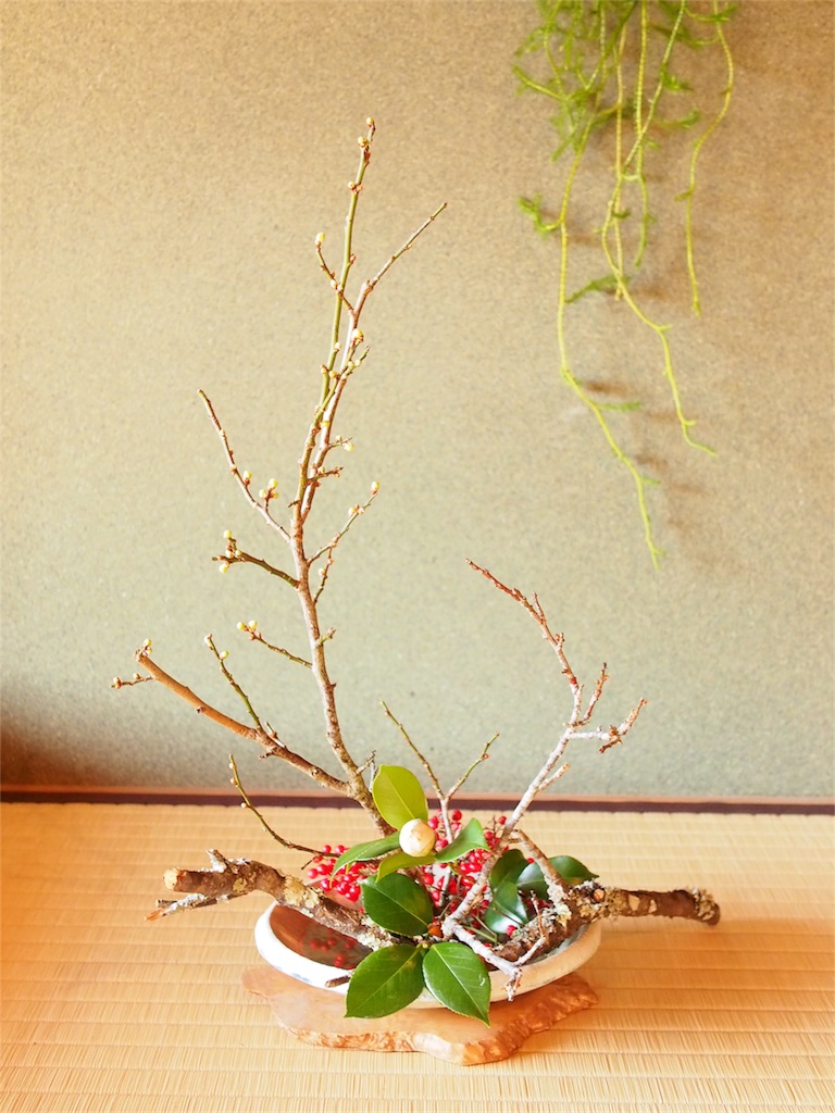 f:id:tsukihiguesthouse:20181226190857j:image f:id:tsukihiguesthouse:20181226190857j:image