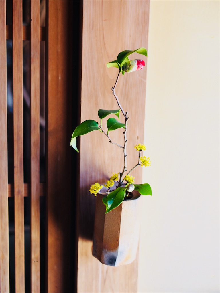 f:id:tsukihiguesthouse:20190323204620j:image f:id:tsukihiguesthouse:20190323204620j:image