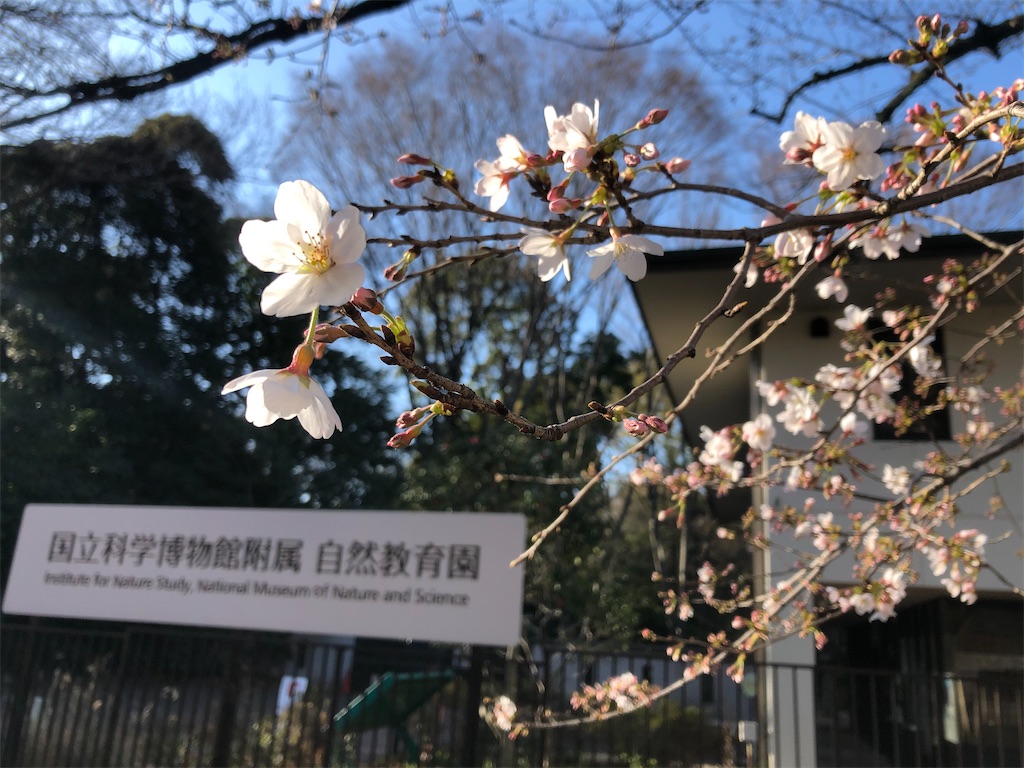 f:id:tsukikageya:20210315204220j:image f:id:tsukikageya:20210315204220j:image