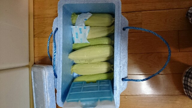 f:id:tsukikaisechi:20160810235501j:image f:id:tsukikaisechi:20160810235501j:image