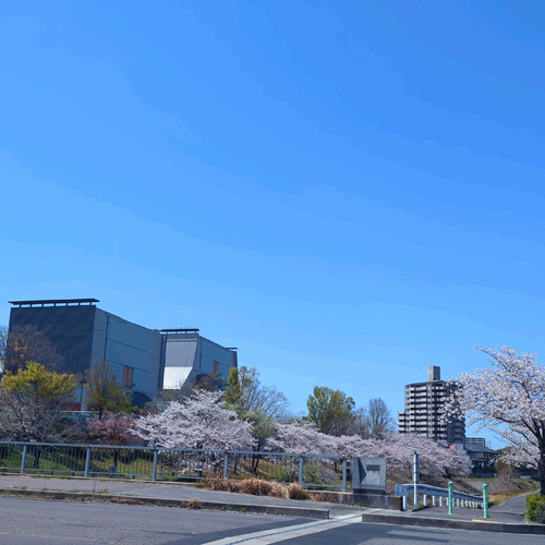 図書館通りから眺めた文化の家の画像