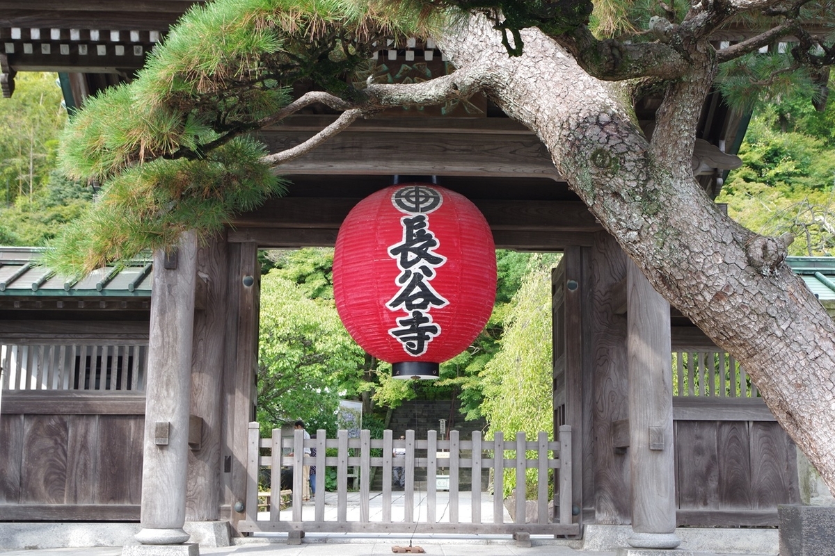 鎌倉,長谷,写真日記,pentax,PENTAX,PENTAX KF,写真,20250927TOP