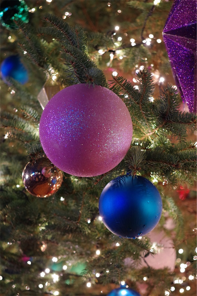 f:id:tsukimeguri:20251216161734j:image