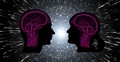 brain3