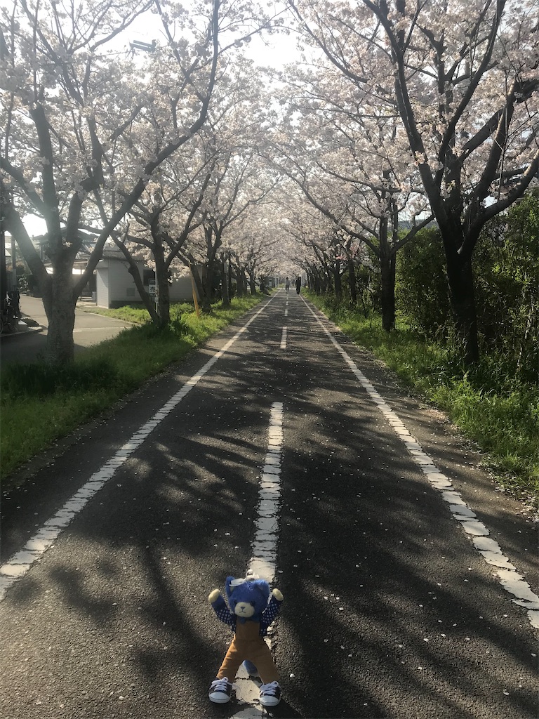 f:id:tsukinohikaricherry:20200517161942j:image