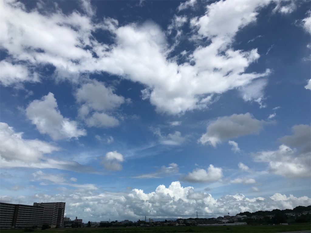 f:id:tsukinohikaricherry:20200721100734j:plain