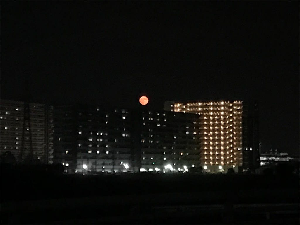 f:id:tsukinohikaricherry:20200810203907j:plain
