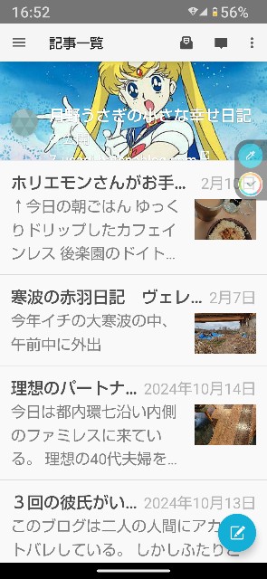 f:id:tsukinousagicyan:20250227165311j:image