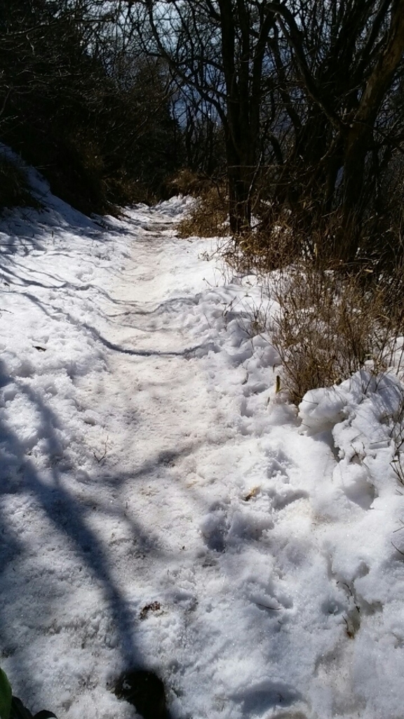 f:id:tsukisai:20160612032823j:plain