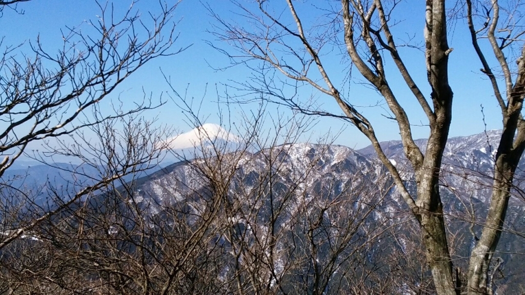 f:id:tsukisai:20160612032843j:plain