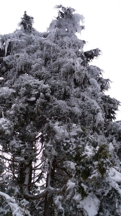 f:id:tsukisai:20160612033125j:plain