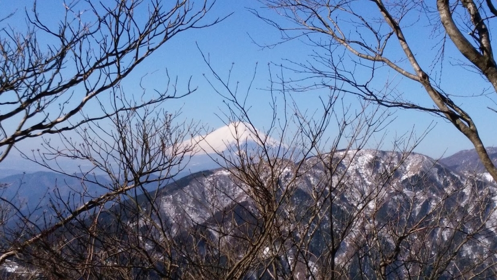 f:id:tsukisai:20160612033230j:plain