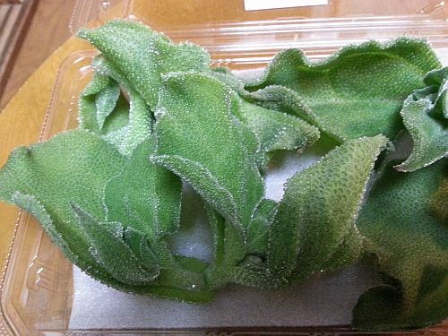 f:id:tsukisai:20180208081051j:plain