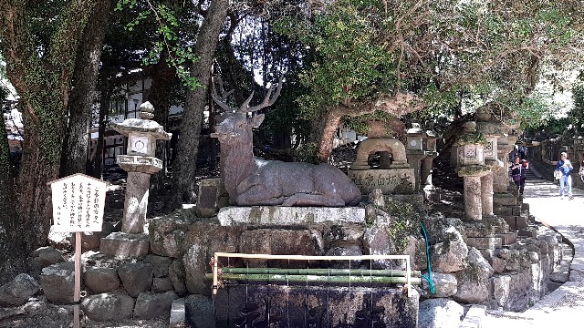 f:id:tsukiyo_sampo:20230428231412j:image