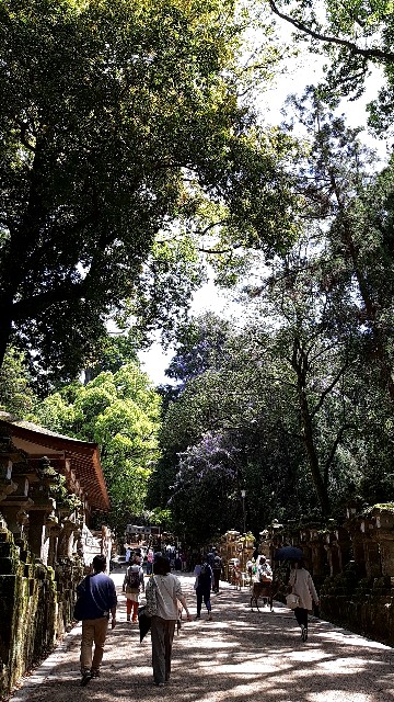 f:id:tsukiyo_sampo:20230428231454j:image