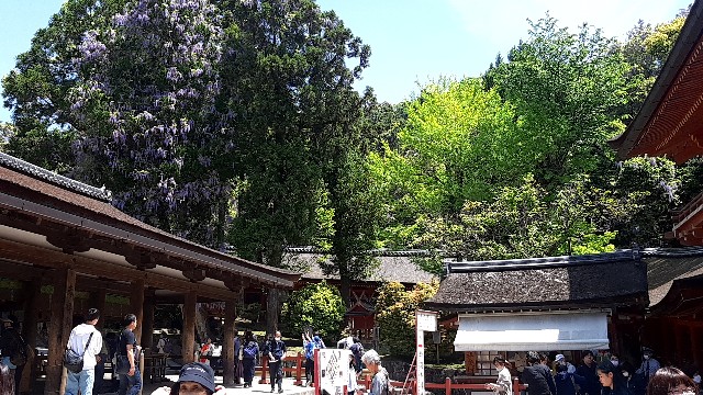 f:id:tsukiyo_sampo:20230428231702j:image