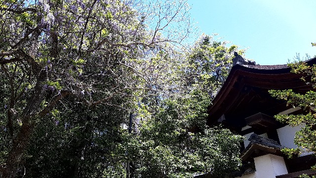 f:id:tsukiyo_sampo:20230428231826j:image