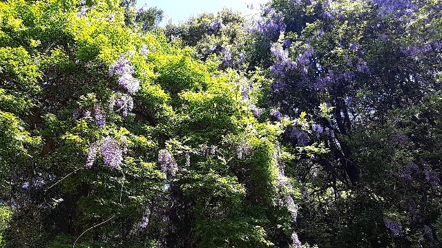 f:id:tsukiyo_sampo:20230428231833j:image