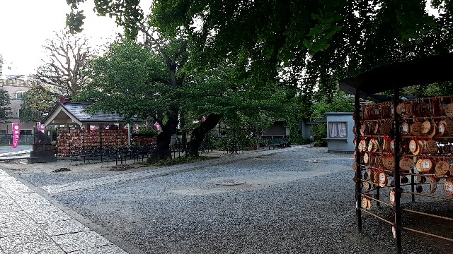 f:id:tsukiyo_sampo:20230502192553j:image