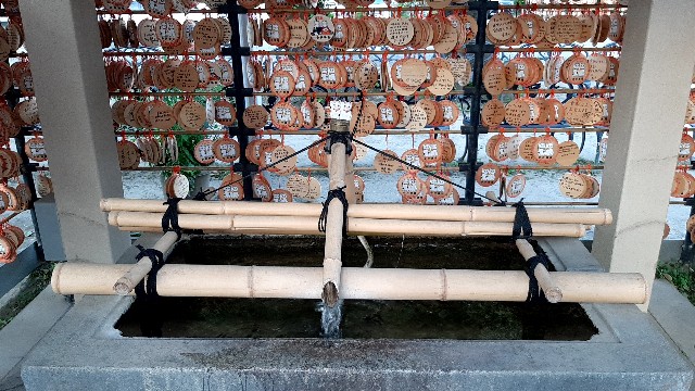 f:id:tsukiyo_sampo:20230502192735j:image