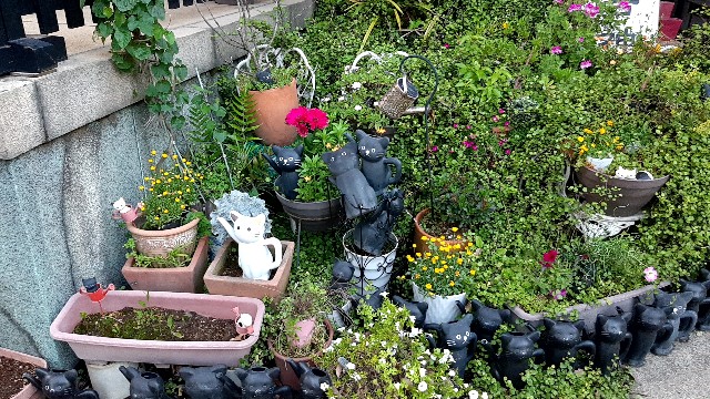 f:id:tsukiyo_sampo:20230502192809j:image