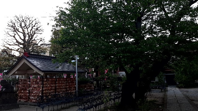 f:id:tsukiyo_sampo:20230502192939j:image