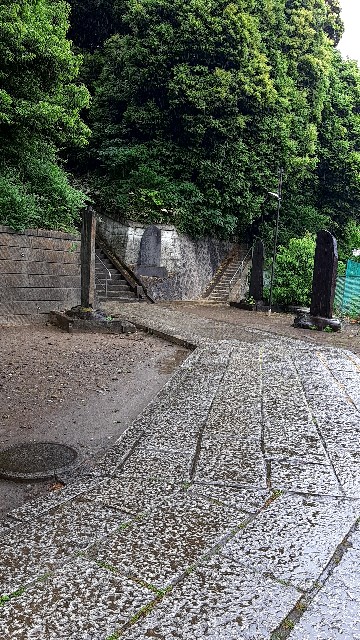 f:id:tsukiyo_sampo:20230507122956j:image