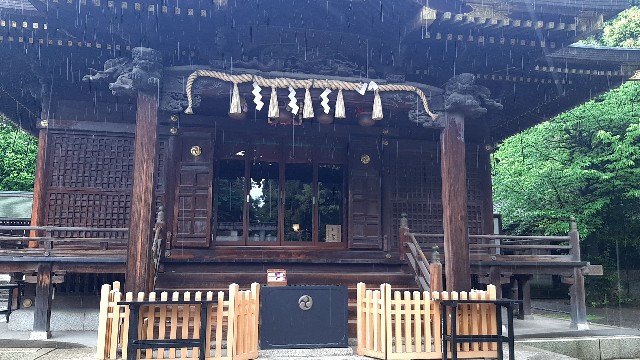 f:id:tsukiyo_sampo:20230507123114j:image