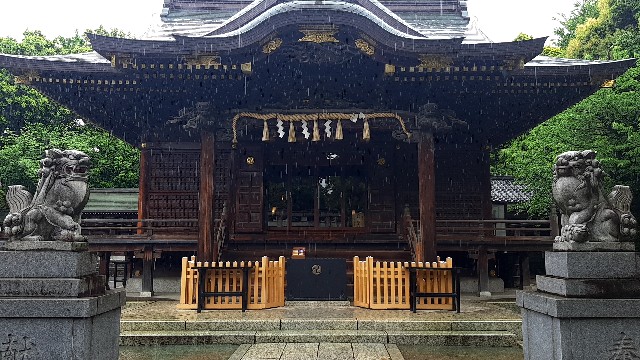 f:id:tsukiyo_sampo:20230507123123j:image