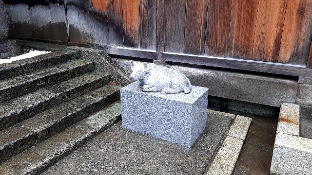 f:id:tsukiyo_sampo:20230507141601j:image