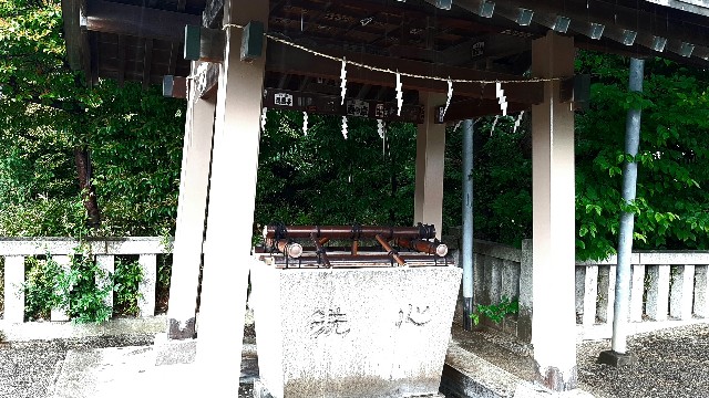 f:id:tsukiyo_sampo:20230507141852j:image