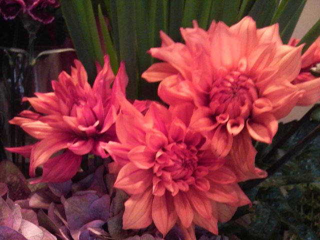 f:id:tsukkin082:20090113152200j:image