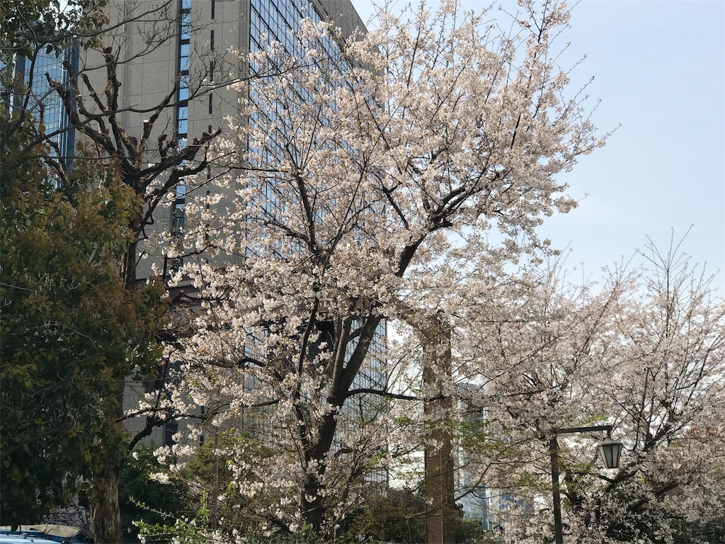 f:id:tsukky8832534:20170407000555j:image f:id:tsukky8832534:20170407000555j:image