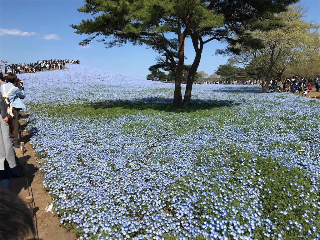 f:id:tsukky8832534:20170424010055j:image f:id:tsukky8832534:20170424010055j:image