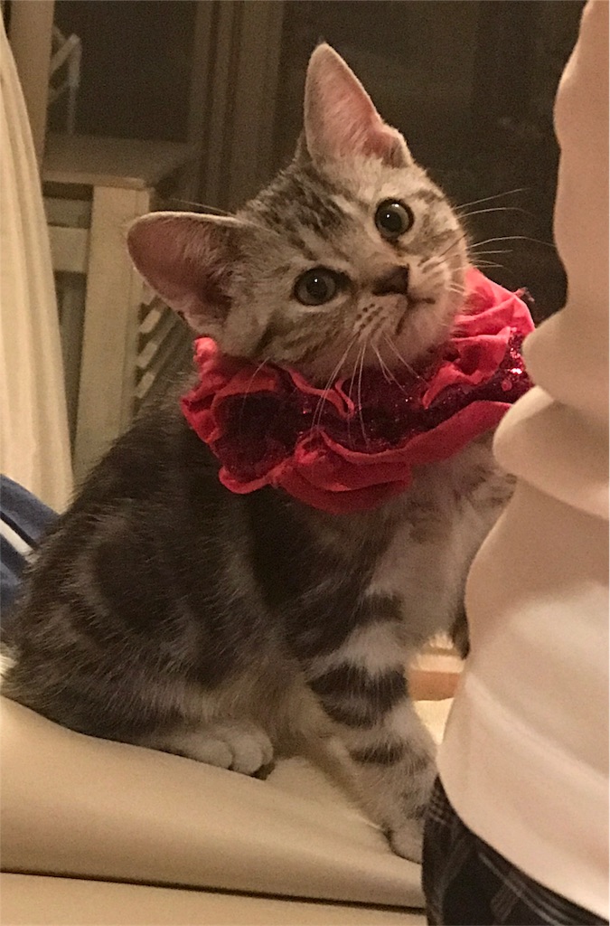 f:id:tsukky8832534:20171004232843j:image