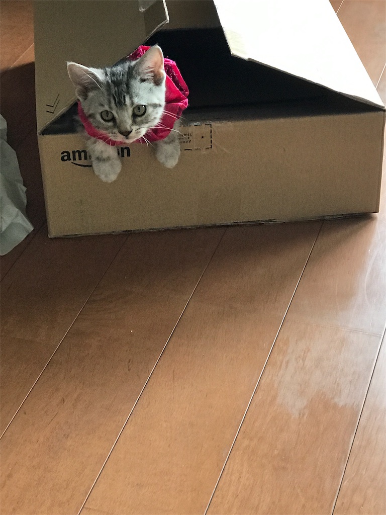 f:id:tsukky8832534:20171005175017j:image f:id:tsukky8832534:20171005175017j:image